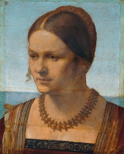 Portrait of a Young Venetian Woman by Albrecht Dürer